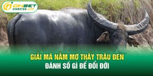 nằm mơ thấy trâu đen đánh số gì